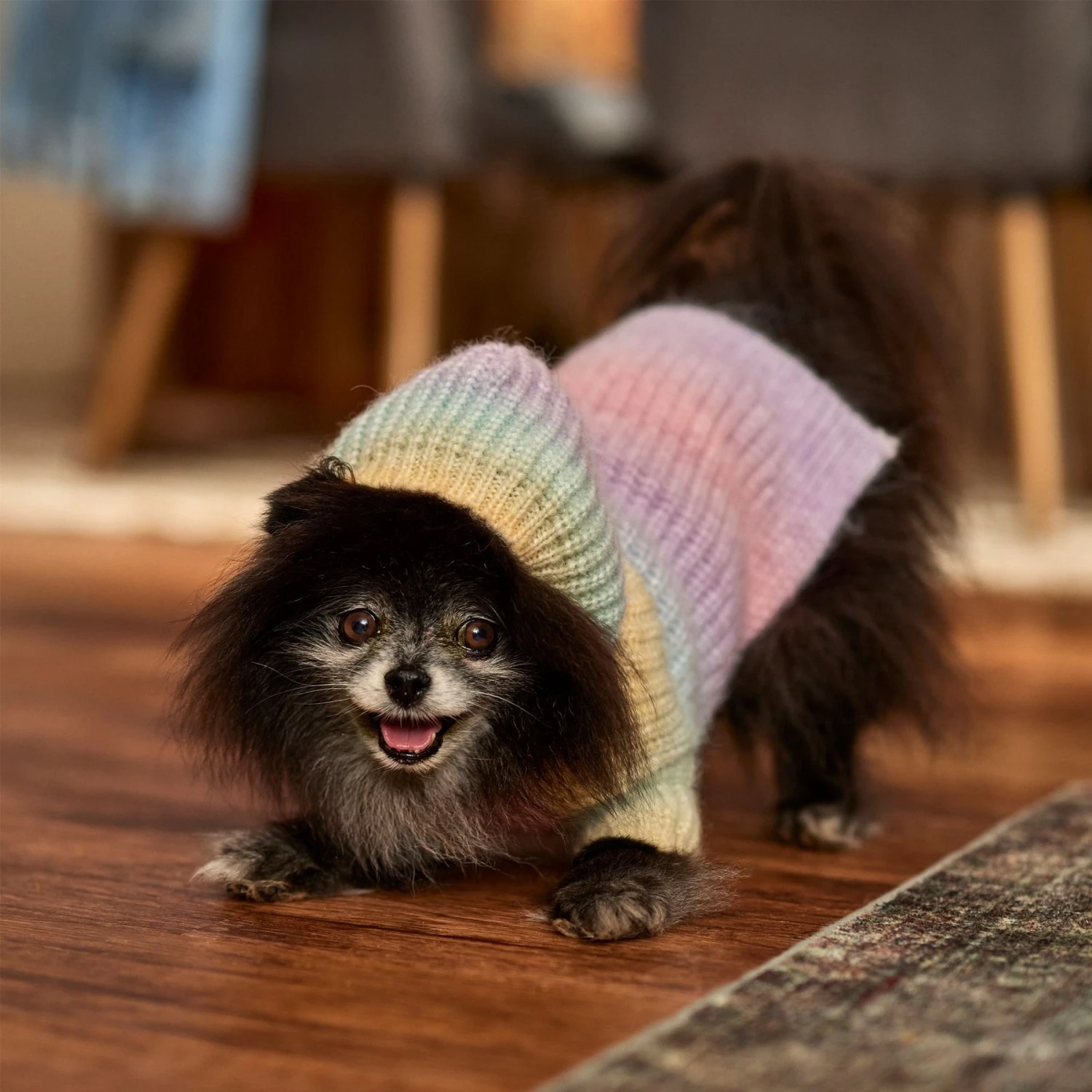 Frisco Soft Multi Stripe Ombre Dog & Cat Hooded Sweater 7 Frisco Soft Multi Stripe Ombre Dog & Cat Hooded Sweater - Image 7