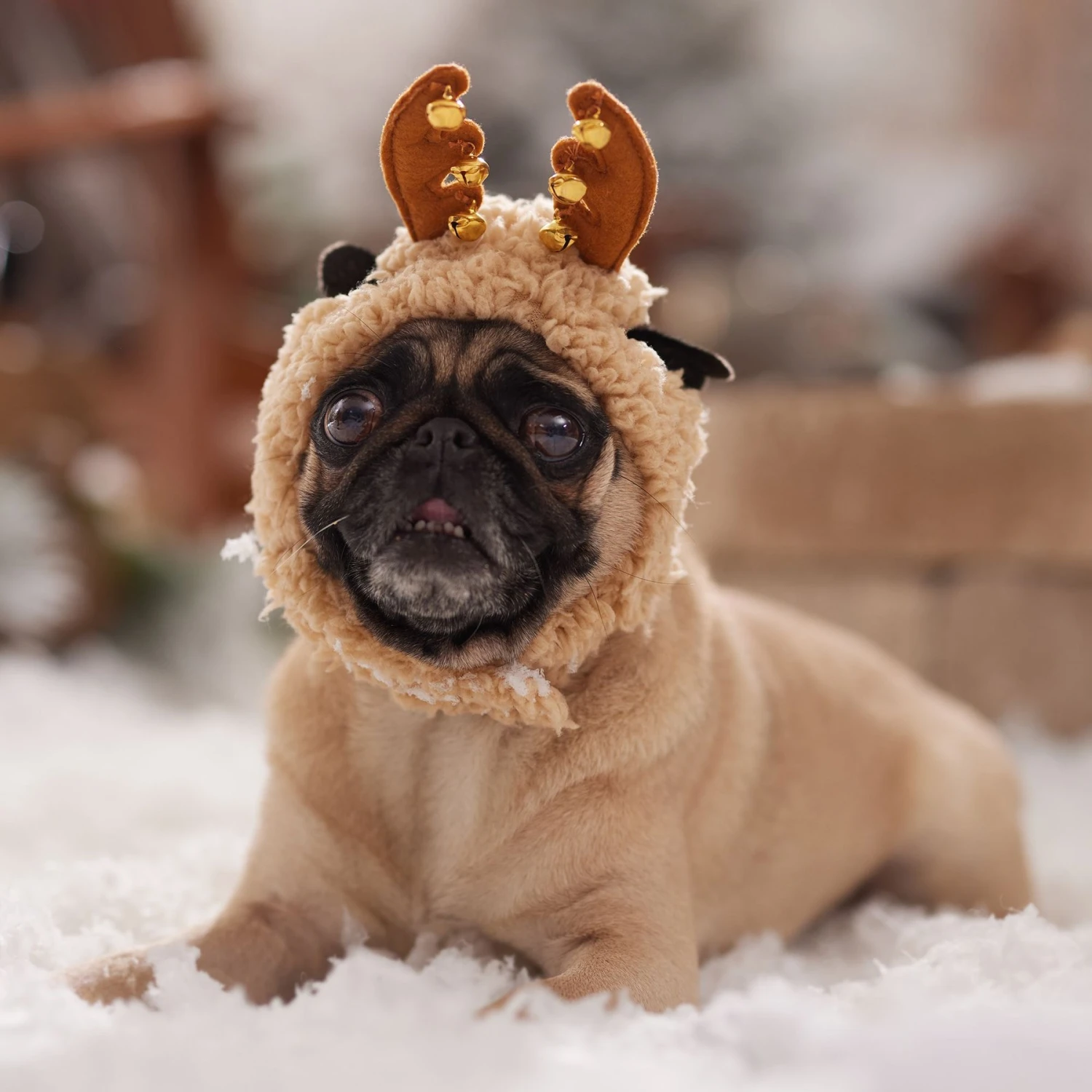 Frisco Sherpa Reindeer Dog & Cat Hat With Bells 6 Frisco Sherpa Reindeer Dog & Cat Hat With Bells - Image 6