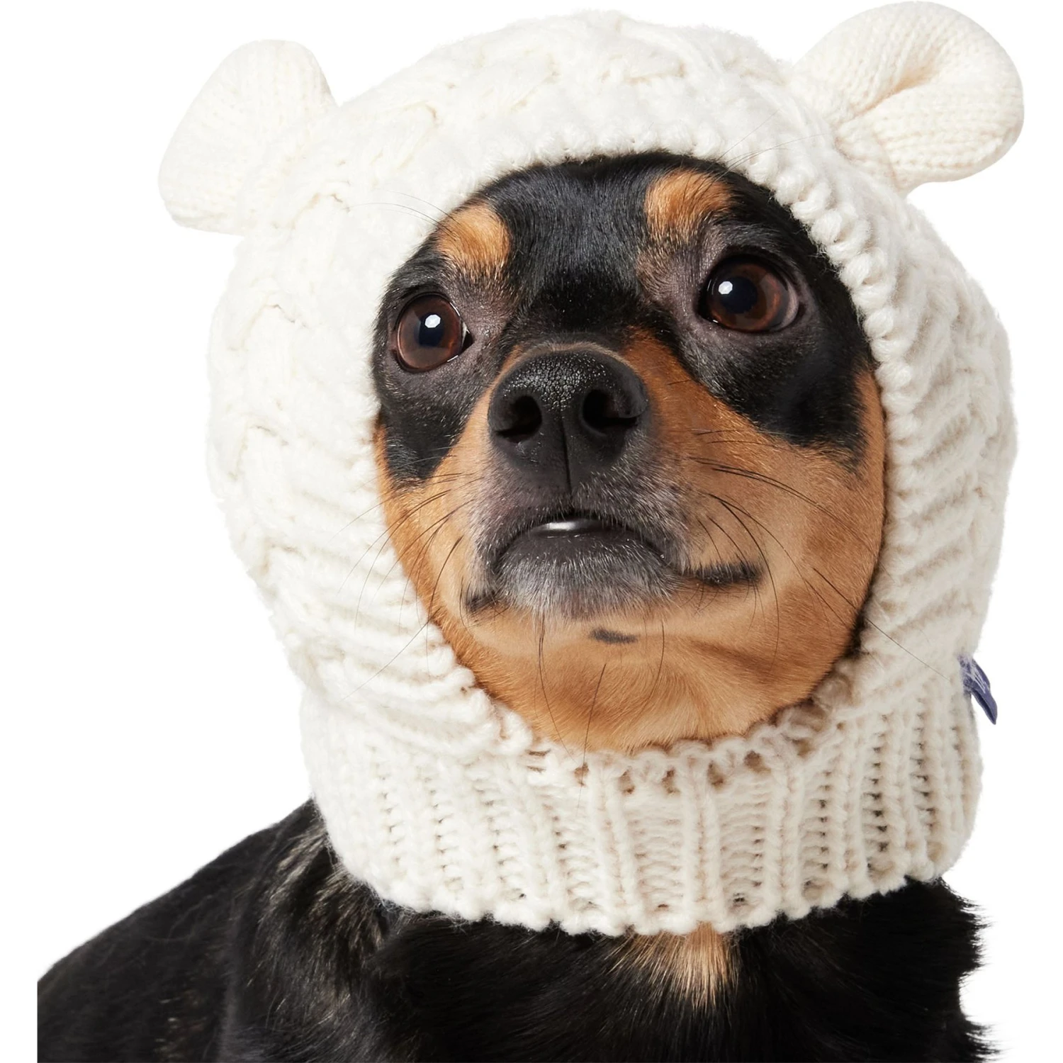 Frisco Polar Bear Sweater Knit Dog & Cat Hat 3 Frisco Polar Bear Sweater Knit Dog & Cat Hat - Image 3