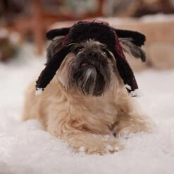 Frisco Tartan Plaid Dog & Cat Trapper Hat 12 Frisco Tartan Plaid Dog & Cat Trapper Hat -Frisco 746750 PT5. AC SS1800 V1694800749