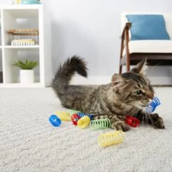 Frisco Colorful Springs Cat Toy & Frisco Bird With Feathers Teaser Wand Cat Toy With Catnip 13 Frisco Colorful Springs Cat Toy & Frisco Bird With Feathers Teaser Wand Cat Toy With Catnip -Frisco 962126 PT4. AC SS1800 V1694782923