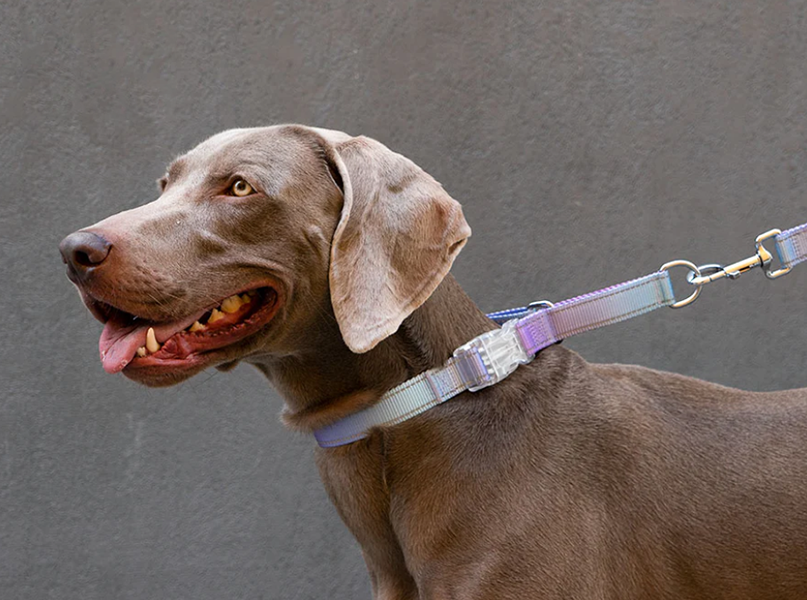 Frisco -Frisco c75e27f8ee727d1b10cb07daa6c96c8a